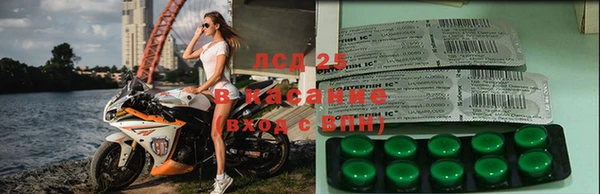 СК Абинск