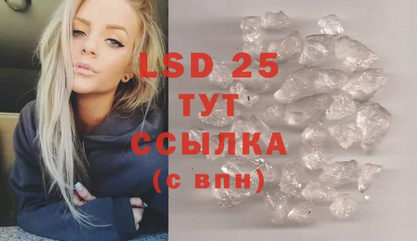 крисы Магас