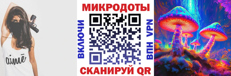 Псилоцибиновые грибы Cubensis  Ярославль 